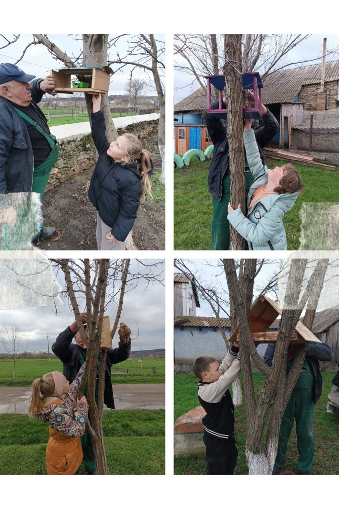 588990447 1890472701548350 8645662287313322505 N